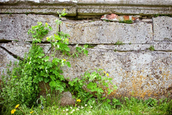 Tuğla duvar eski — Stok fotoğraf