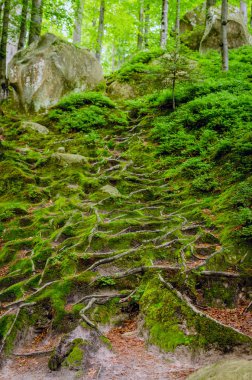 onderwater roze bikini meisje zwemmen in zwembad