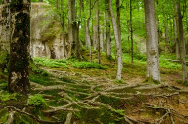 onderwater roze bikini meisje zwemmen in zwembad