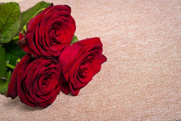 Rosas vermelhas naturais — Fotografia de Stock