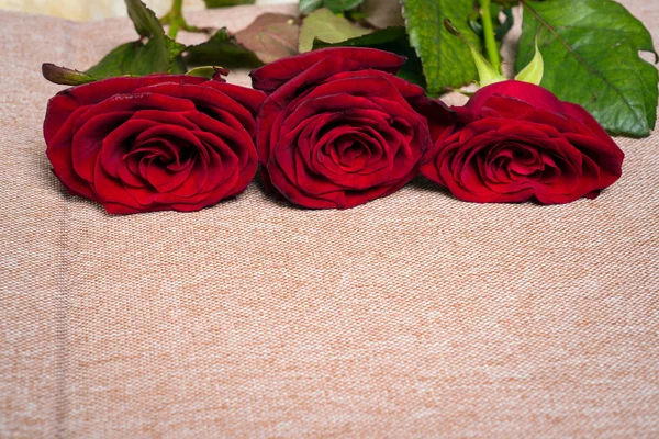 Rosas vermelhas naturais — Fotografia de Stock