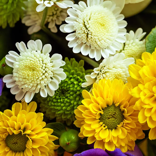 꽃다발 — 스톡 사진