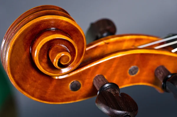 Wooden violin head — Stock Photo, Image