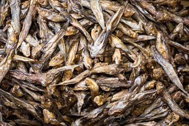 kurutulmuş balık Market