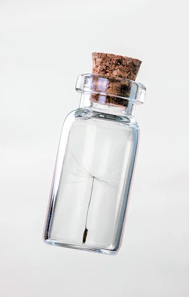 Dandelion seeds in bottle — Stock Photo, Image