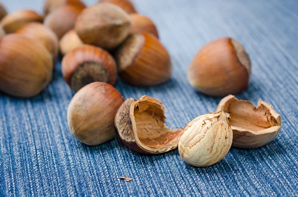 Hazelnut on the  blue jeans — Stock Photo, Image