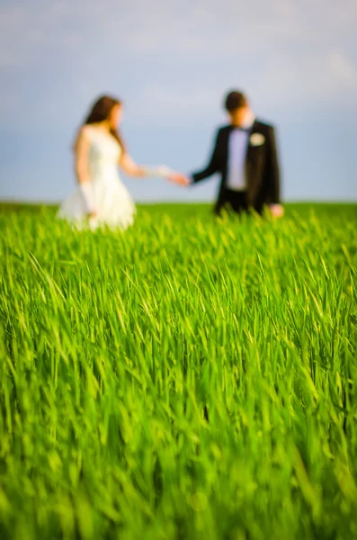 Par i ett grönt fält — Stockfoto