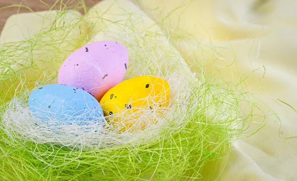 Uova colorate nel nido — Foto Stock