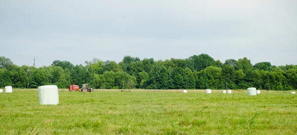 Haystacks no campo verde — Fotografia de Stock