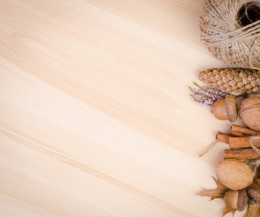 Meşe palamudu, koni, tarçın