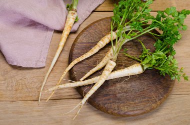 Taze maydanoz kökleri ile