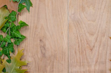 Yaprakların sonbahar arkaplanı