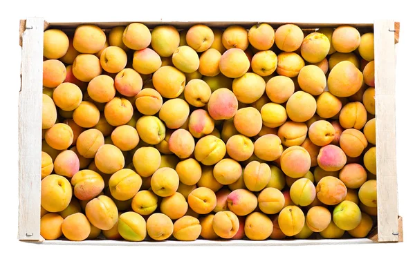 Ripe fresh apricots — Stock Photo, Image