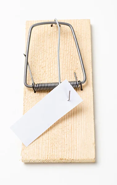 Mousetrap with blank paper — Stock Photo, Image