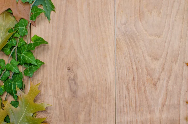 Herbst Hintergrund der Blätter — Stockfoto