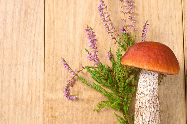 Orange-cap boletus with flowers — Stock Photo, Image