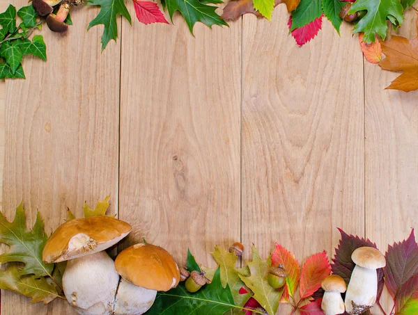 Autumn frame with mushrooms — Stock Photo, Image