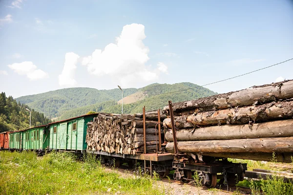 Train transports logs — Stock Photo, Image