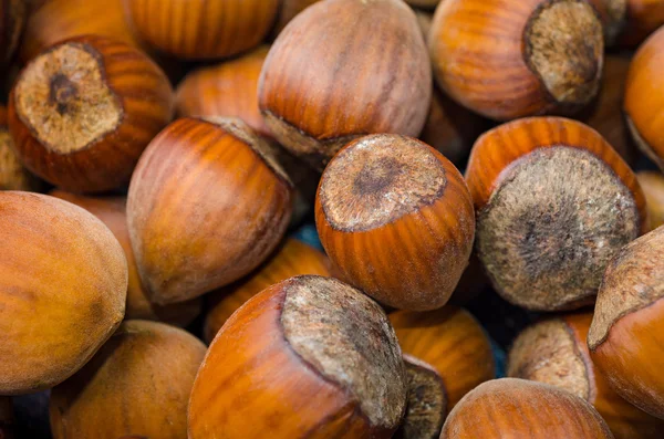 Heap of  ripe hazelnuts — Stock Photo, Image