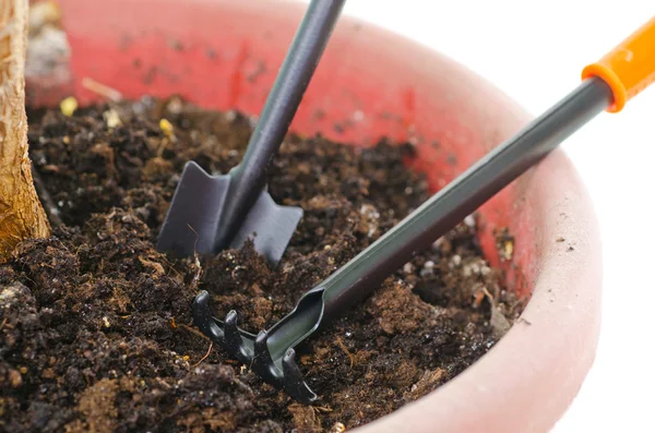 Palas para el cuidado de plantas —  Fotos de Stock