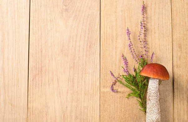 Помаранчева шапка Болету з квітами — стокове фото