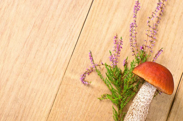 Orange-cap boletus with flowers — Stock Photo, Image