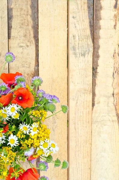 야생화 꽃의 꽃다발 — 스톡 사진