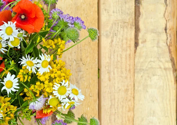 야생화 꽃의 꽃다발 — 스톡 사진