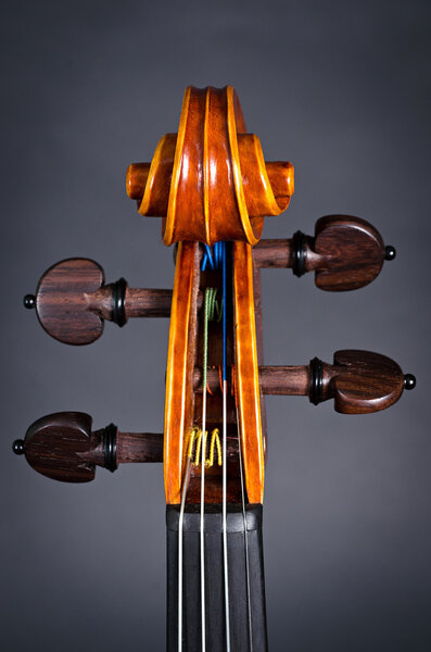 деревянная скрипичная голова
