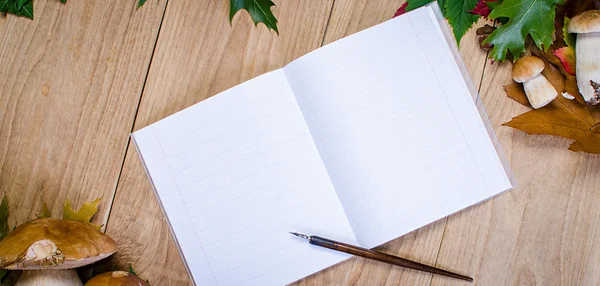 Podzimní pozadí s prázdnou notebook — Stock fotografie