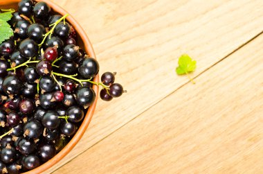 bir tabak içinde siyah kuş üzümü
