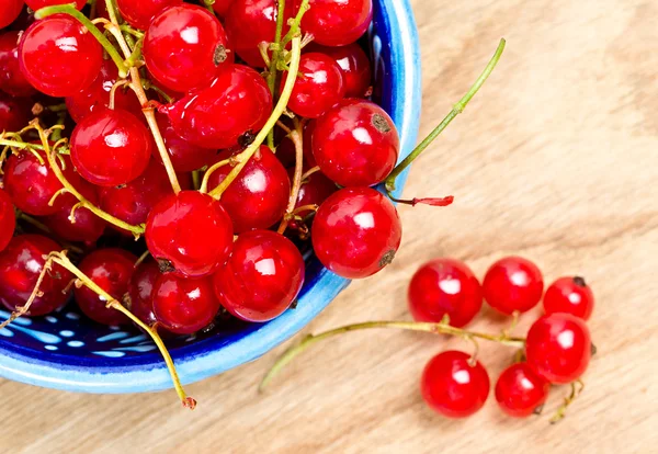 Groseilles rouges dans une assiette — Photo