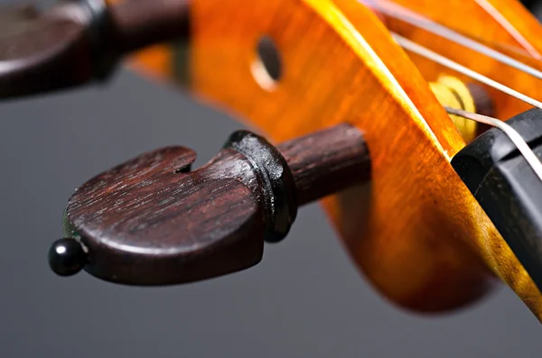 Violin del på svart — Stockfoto