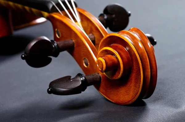 Wooden violin head — Stock Photo, Image