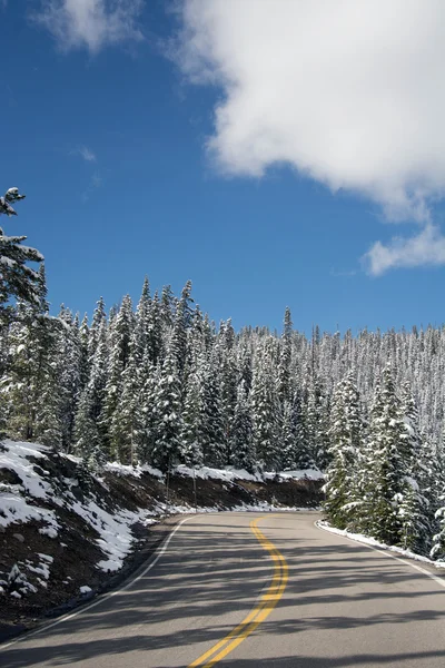 Iz ridge road — Stok fotoğraf