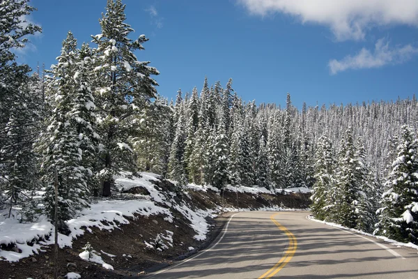 Trail Ridge Road — Stock Photo, Image