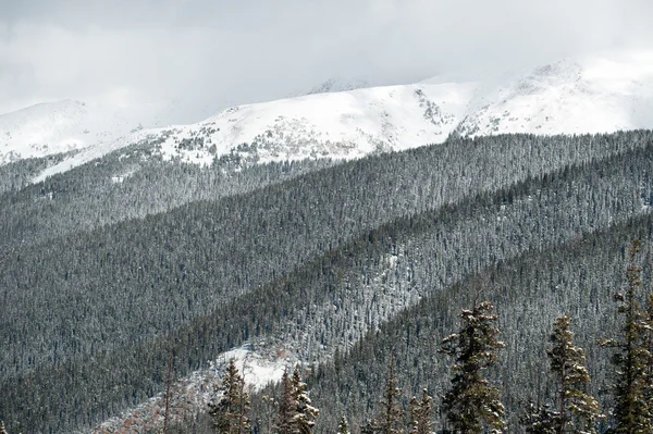 Montagna innevata — Foto Stock