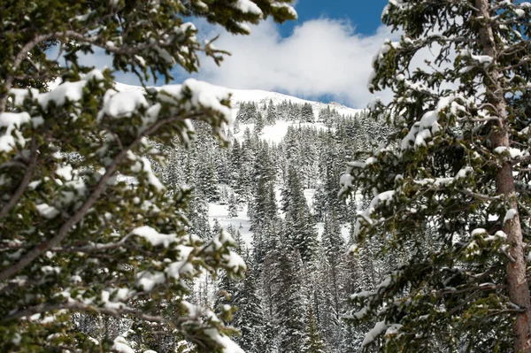 Montagna innevata — Foto Stock