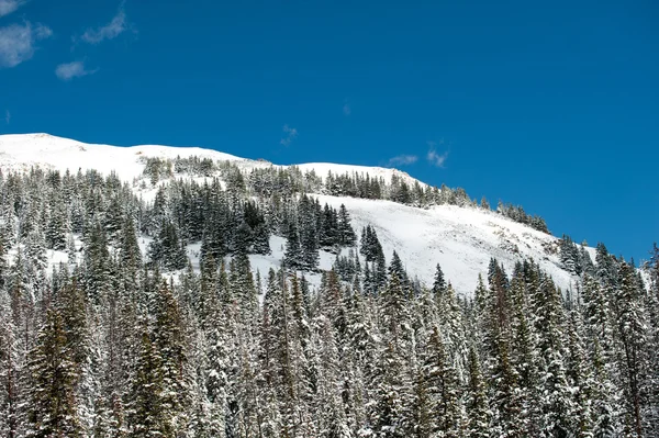 Schneebedeckte Berge — Stockfoto