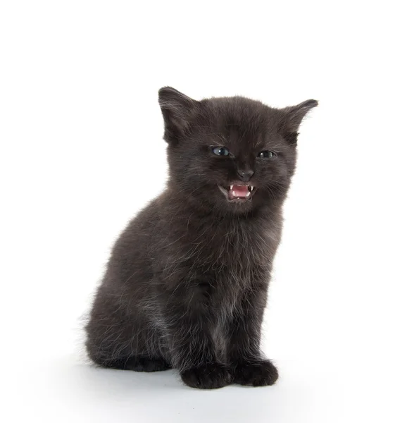 Gatito negro con la boca abierta — Foto de Stock