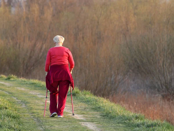 Caminhada Nórdica Escandinava Uma Mulher Está Envolvida Esportes Mesmo Caminho Imagens Royalty-Free