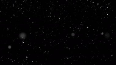 Hafif, yumuşak kar, siyah 4K 'lık dikişsiz bir döngüde izole bir şekilde düşüyor. Görüntüyü ekran üzerine yerleştir veya ekleme kipi ekle.