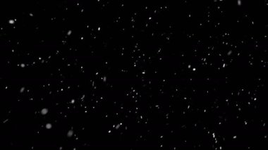 Hafif, yumuşak kar, siyah 4K 'lık dikişsiz bir döngüde izole bir şekilde düşüyor. Görüntüyü ekran üzerine yerleştir veya ekleme kipi ekle.