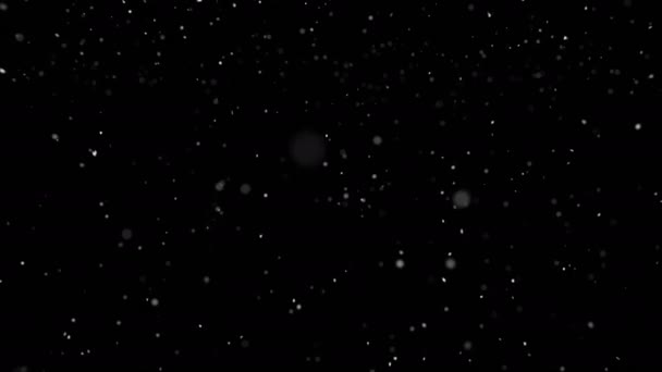 Light Soft Snow Falling Isolated Black Seamless Loop Place Your — Stock Video