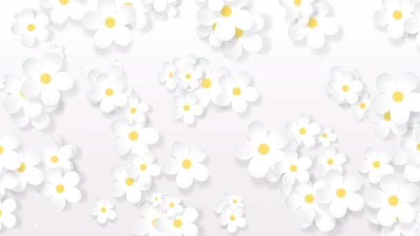 Növekvő Virágos Háttér Papír Virágok Jelennek Meg Botanikai Minta Menyasszonyi — Stock videók
