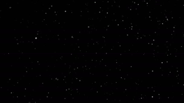 在黑色背景上漂浮的天然有机尘埃颗粒 闪烁着的闪光粒子随随便便的旋转在空气中与Bokeh 将其放置在添加或屏幕模式的视频上 — 图库视频影像