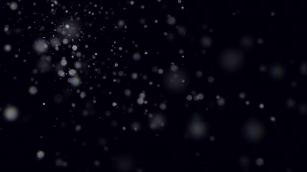 在黑色背景上漂浮的天然有机尘埃颗粒 运动缓慢的动态尘埃粒子在太空中随机飘浮 闪烁着闪光的粒子与Bokeh 空气中的真正有色粒子 — 图库视频影像