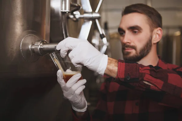 Професійний Пивовар Наливає Пиво Склянку Пивного Бака Його Пивоварні — стокове фото