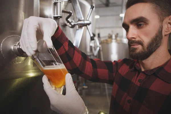 Brouwer Giet Vers Gebrouwen Bier Glas Proeft Bier Zijn Microbrouwerij — Stockfoto