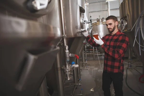 Mannelijke Brouwer Proeft Vers Gebrouwen Bier Zijn Brouwerij Metalen Tanks — Stockfoto